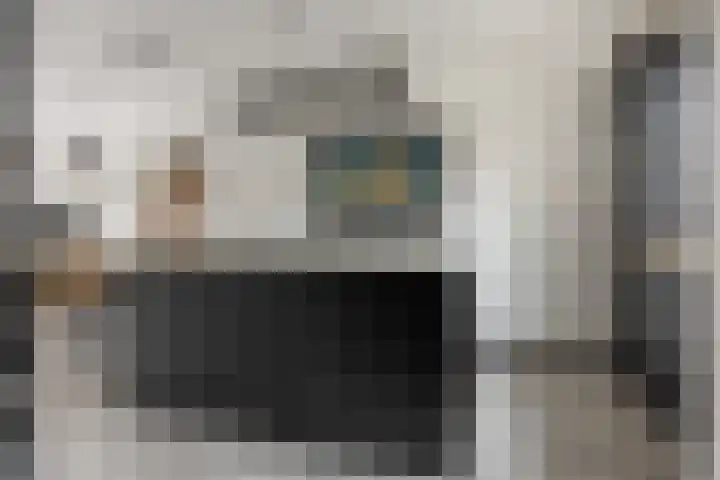 Slagenland 5 Assendelft thumbnail 6