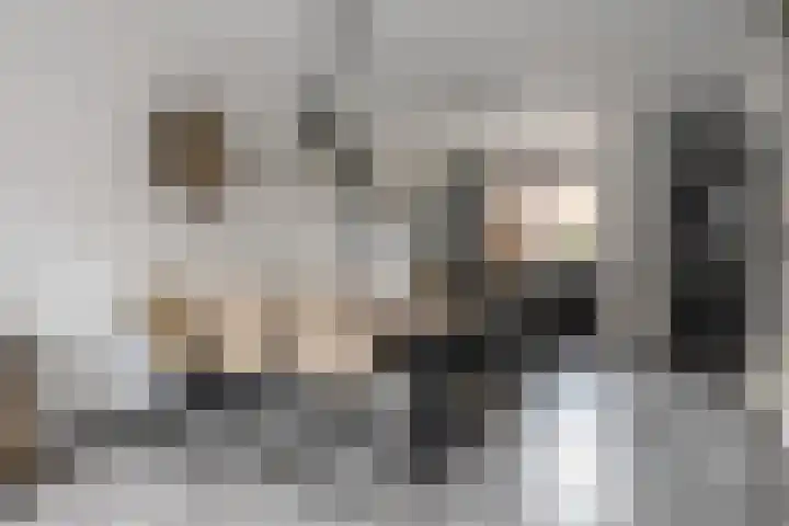 Slagenland 5 Assendelft thumbnail 8