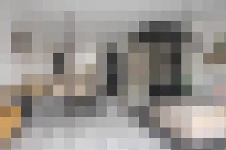 Slagenland 5 Assendelft thumbnail 9