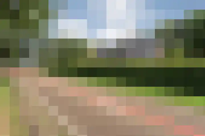 Slagenweg 3 Anerveen thumbnail 10