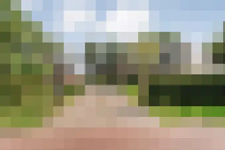 Slagenweg 3 Anerveen thumbnail 11