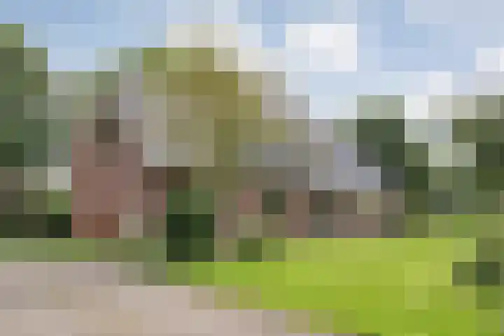 Slagenweg 3 Anerveen thumbnail 12
