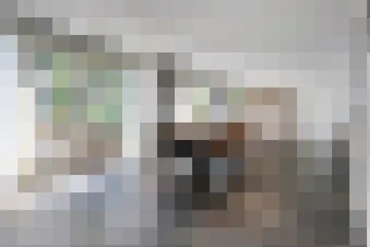 Slagenweg 3 Anerveen thumbnail 21