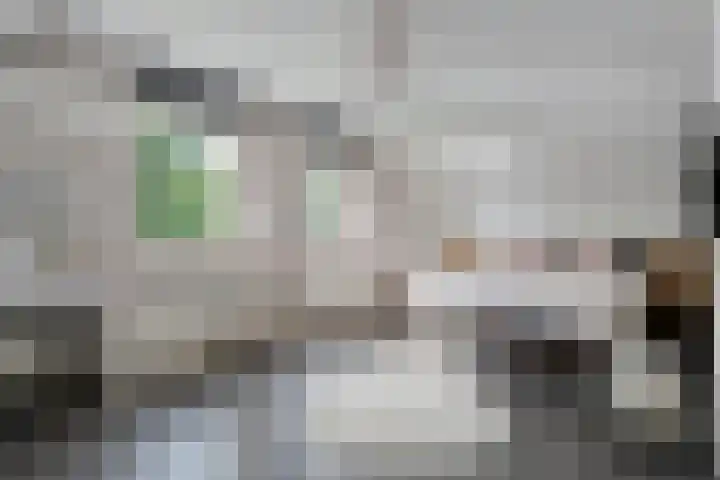 Slagenweg 3 Anerveen thumbnail 33