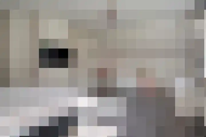 Slagenweg 3 Anerveen thumbnail 34