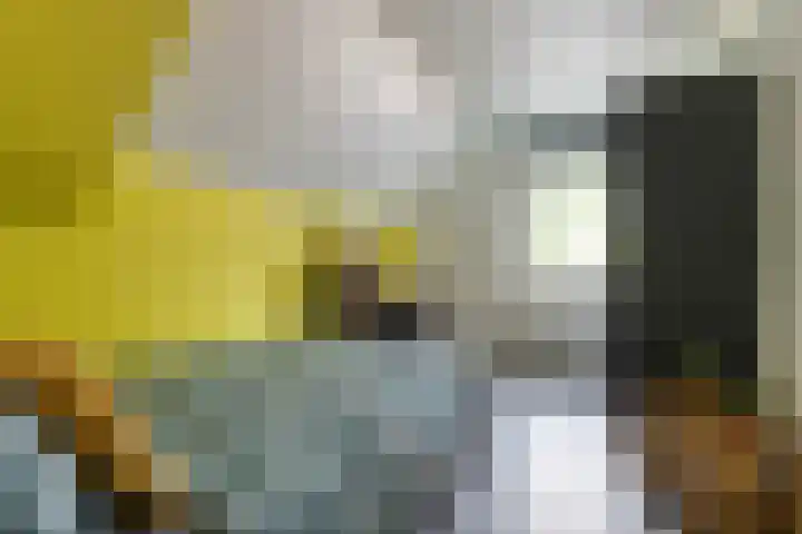 Slagenweg 3 Anerveen thumbnail 37