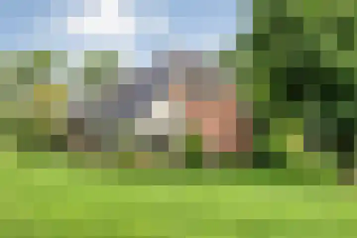 Slagenweg 3 Anerveen thumbnail 4