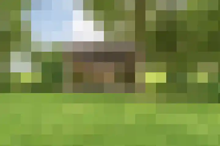 Slagenweg 3 Anerveen thumbnail 45