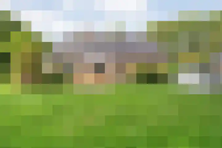 Slagenweg 3 Anerveen thumbnail 46