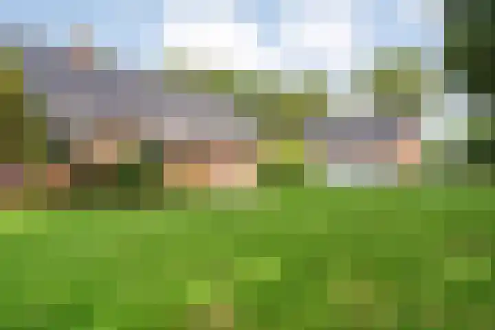 Slagenweg 3 Anerveen thumbnail 47