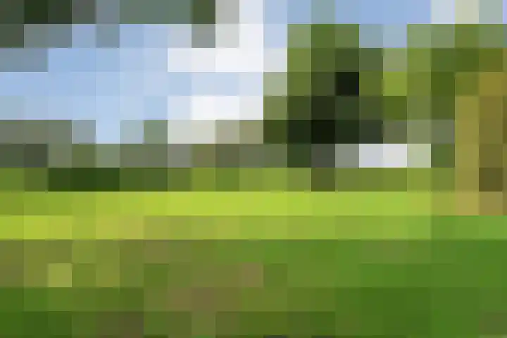 Slagenweg 3 Anerveen thumbnail 48