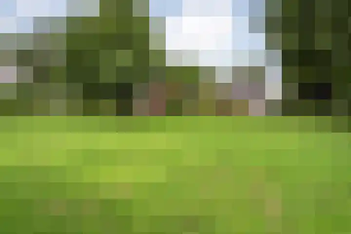 Slagenweg 3 Anerveen thumbnail 49