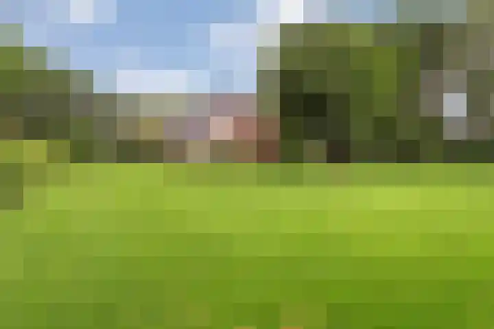 Slagenweg 3 Anerveen thumbnail 50