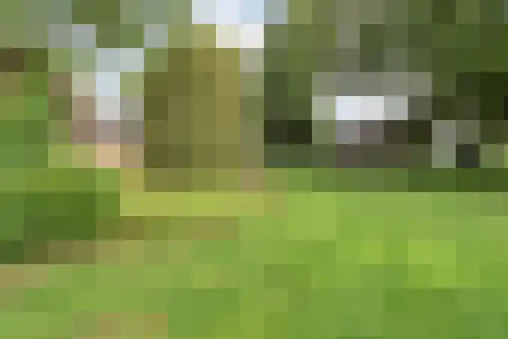 Slagenweg 3 Anerveen thumbnail 51