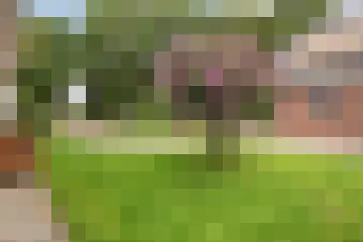 Slagenweg 3 Anerveen thumbnail 52