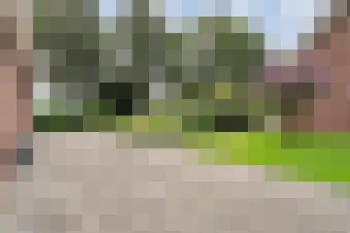 Slagenweg 3 Anerveen thumbnail 53