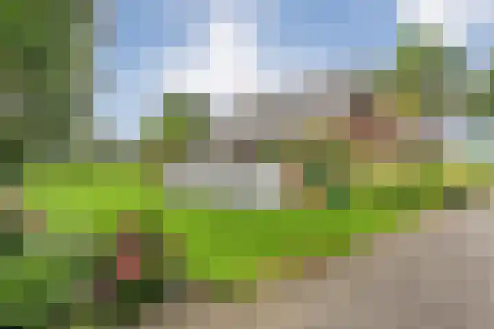 Slagenweg 3 Anerveen thumbnail 55