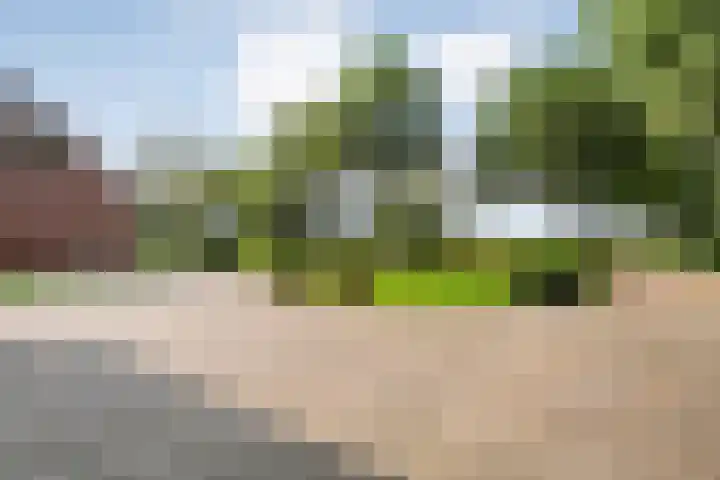 Slagenweg 3 Anerveen thumbnail 56