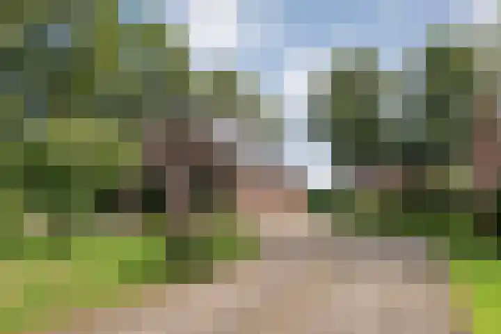 Slagenweg 3 Anerveen thumbnail 6