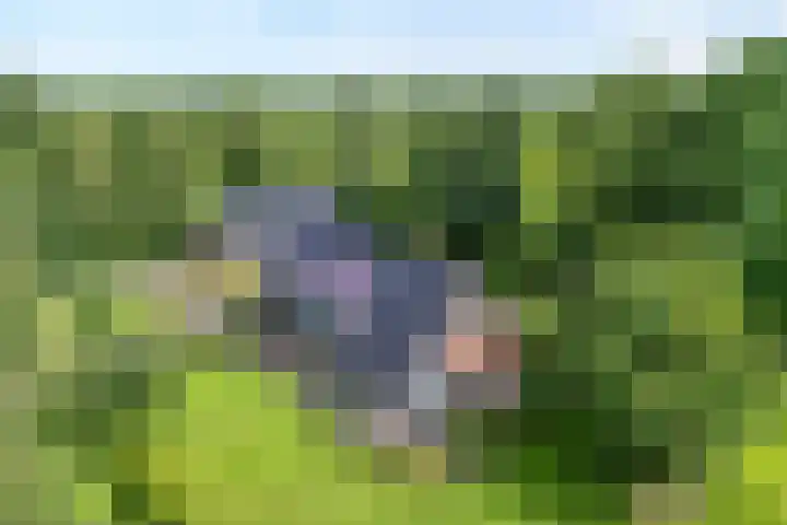Slagenweg 3 Anerveen thumbnail 67