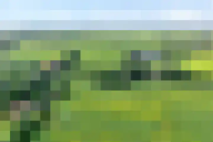 Slagenweg 3 Anerveen thumbnail 8