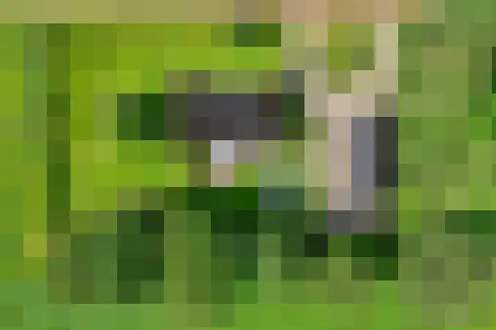 Slagenweg 3 Anerveen thumbnail 9