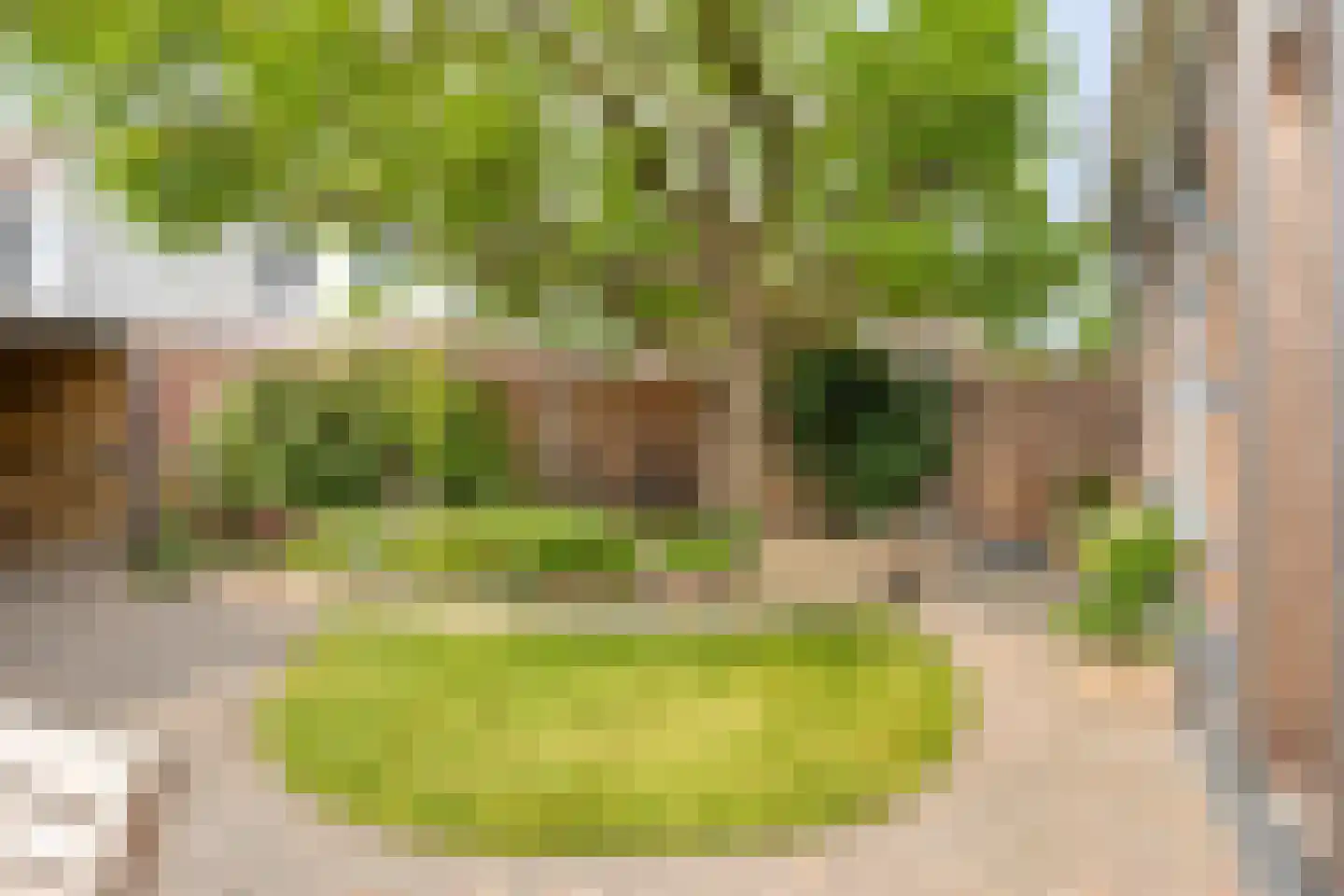 Slagersplein 1 Kampen thumbnail 4