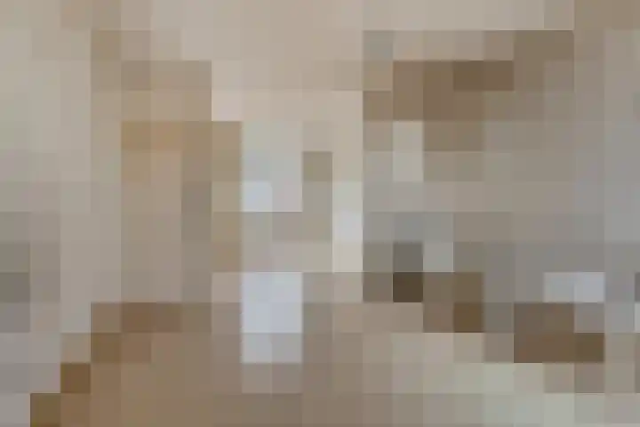 Slagerstraat 37 Eindhoven thumbnail 6