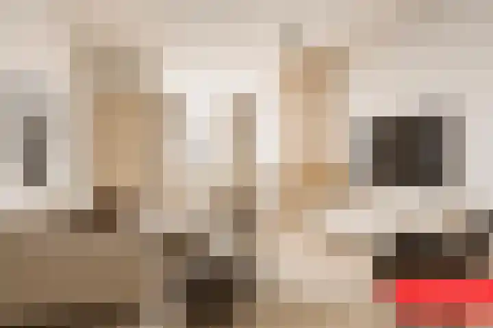 Slagerstraat 37 Eindhoven thumbnail 7
