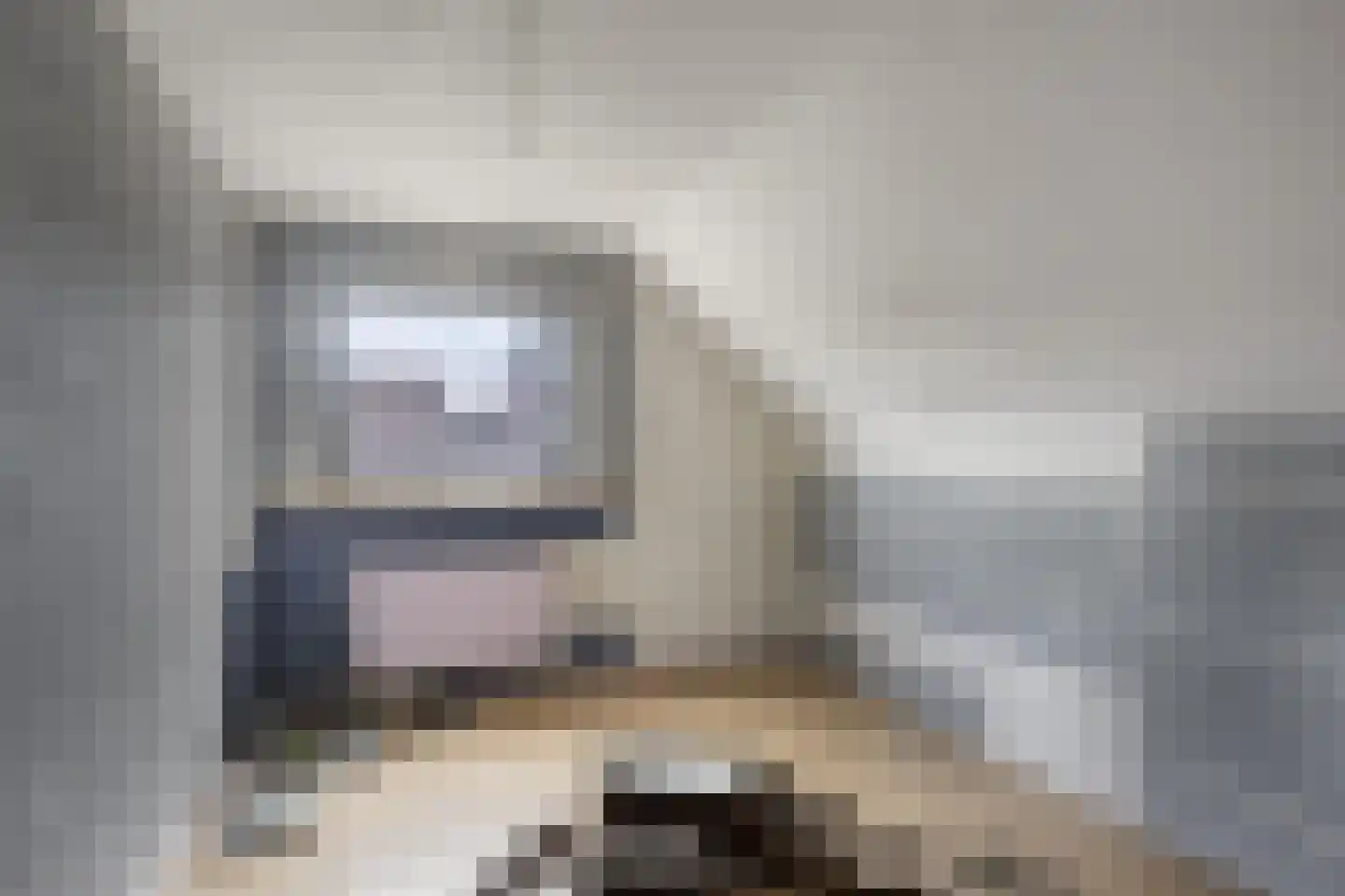 Slagersweg 4 Kampen thumbnail 13