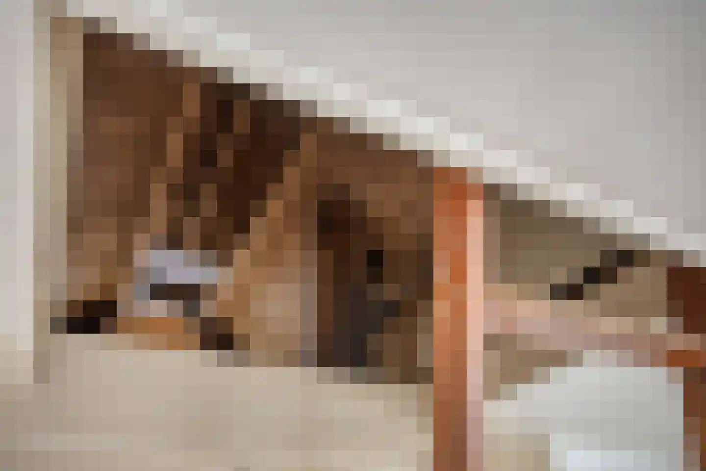 Slagersweg 4 Kampen thumbnail 18