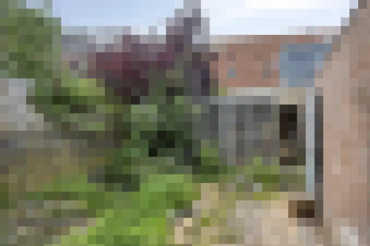 Slagersweg 4 Kampen thumbnail 19