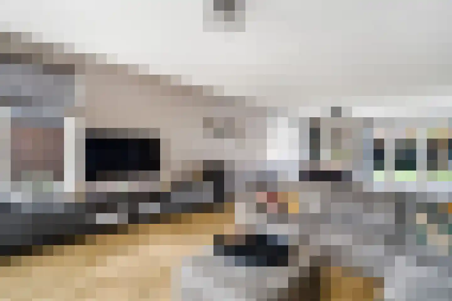 Slagerswerf 2 Dedemsvaart thumbnail 10