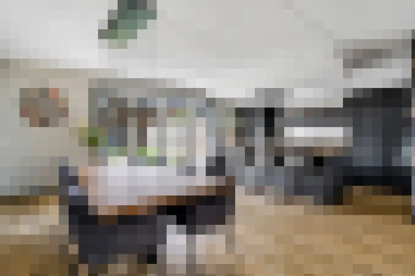 Slagerswerf 2 Dedemsvaart thumbnail 11