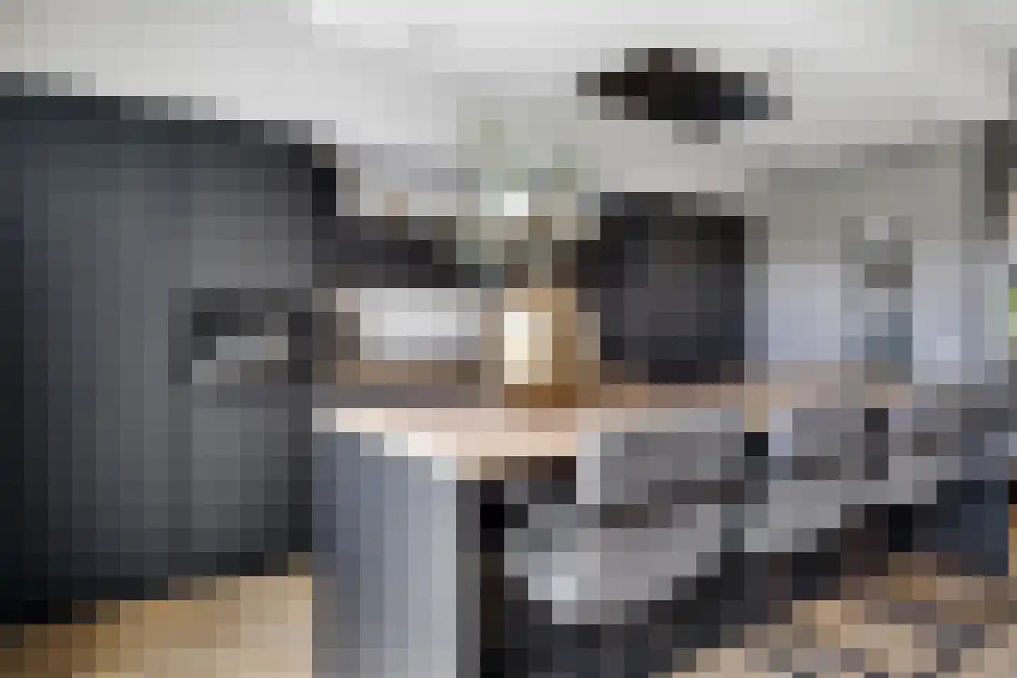 Slagerswerf 2 Dedemsvaart thumbnail 12