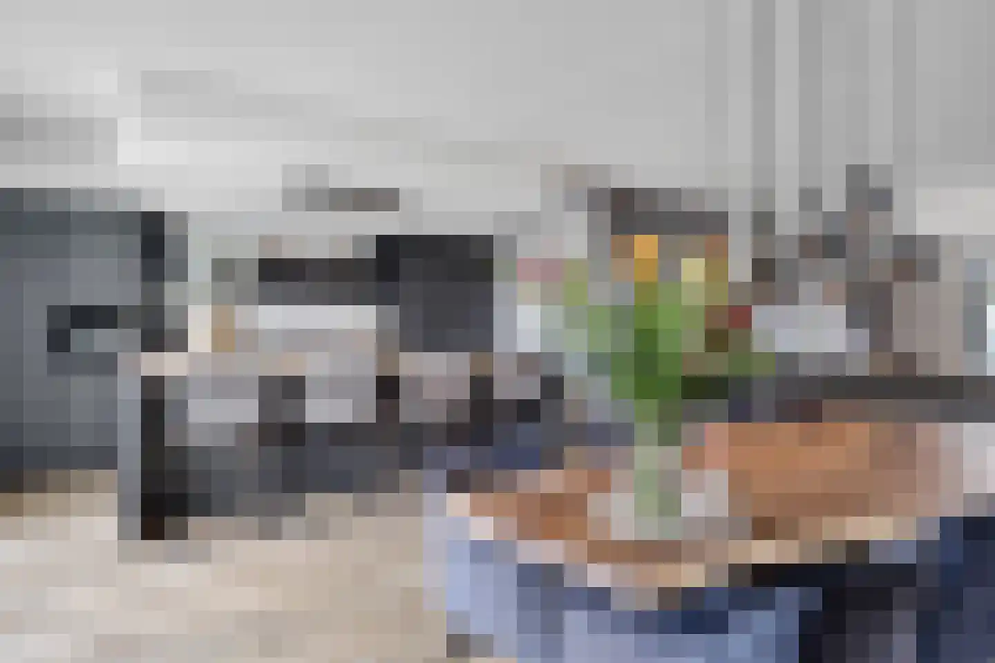 Slagerswerf 2 Dedemsvaart thumbnail 14