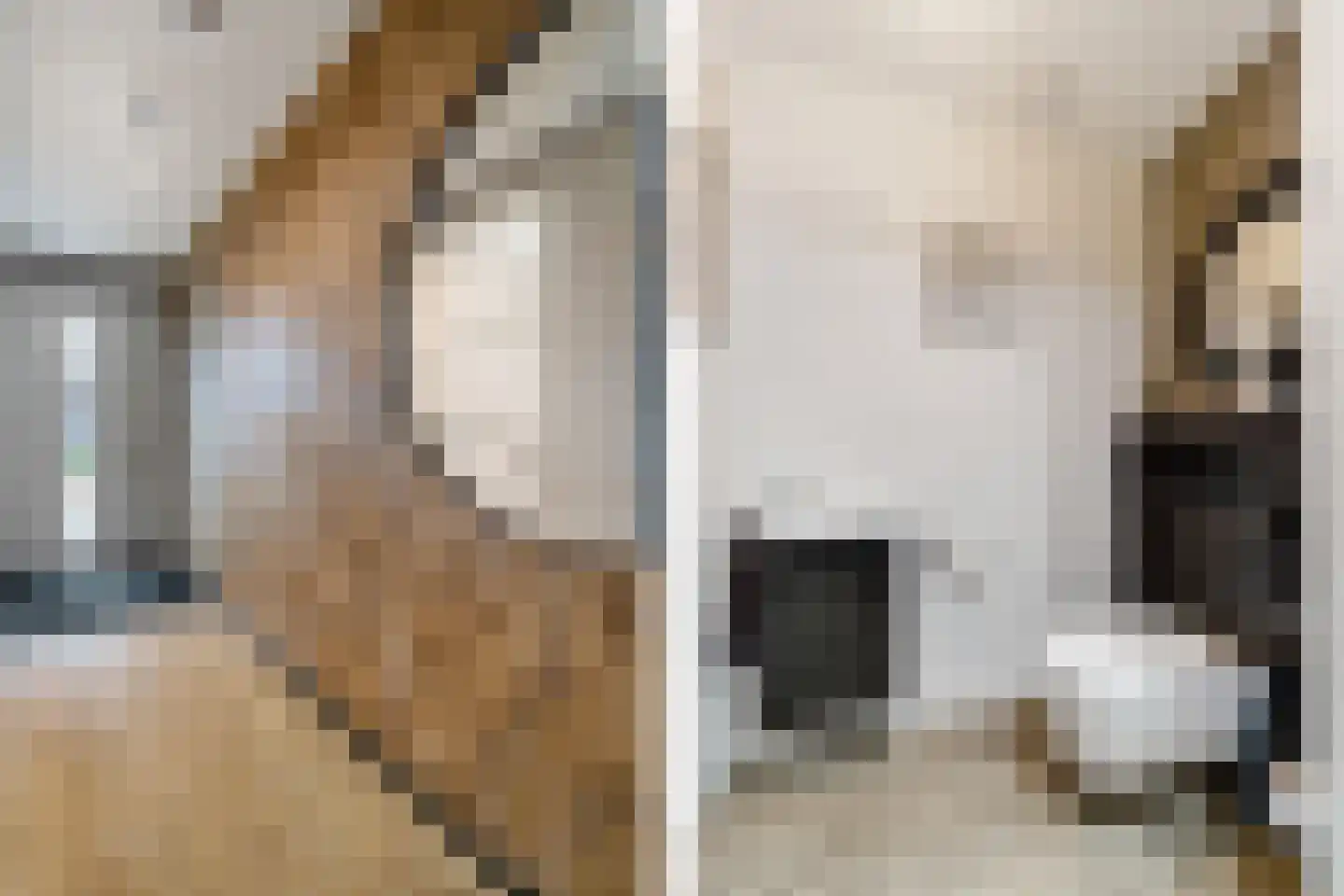Slagerswerf 2 Dedemsvaart thumbnail 18