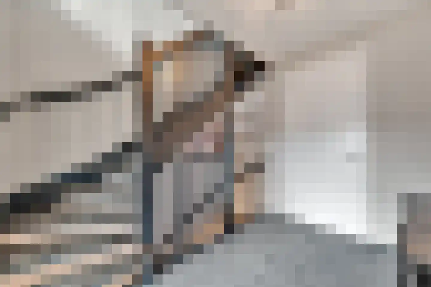 Slagerswerf 2 Dedemsvaart thumbnail 19