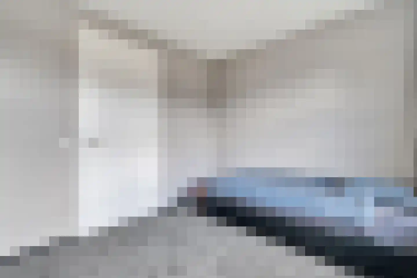 Slagerswerf 2 Dedemsvaart thumbnail 25