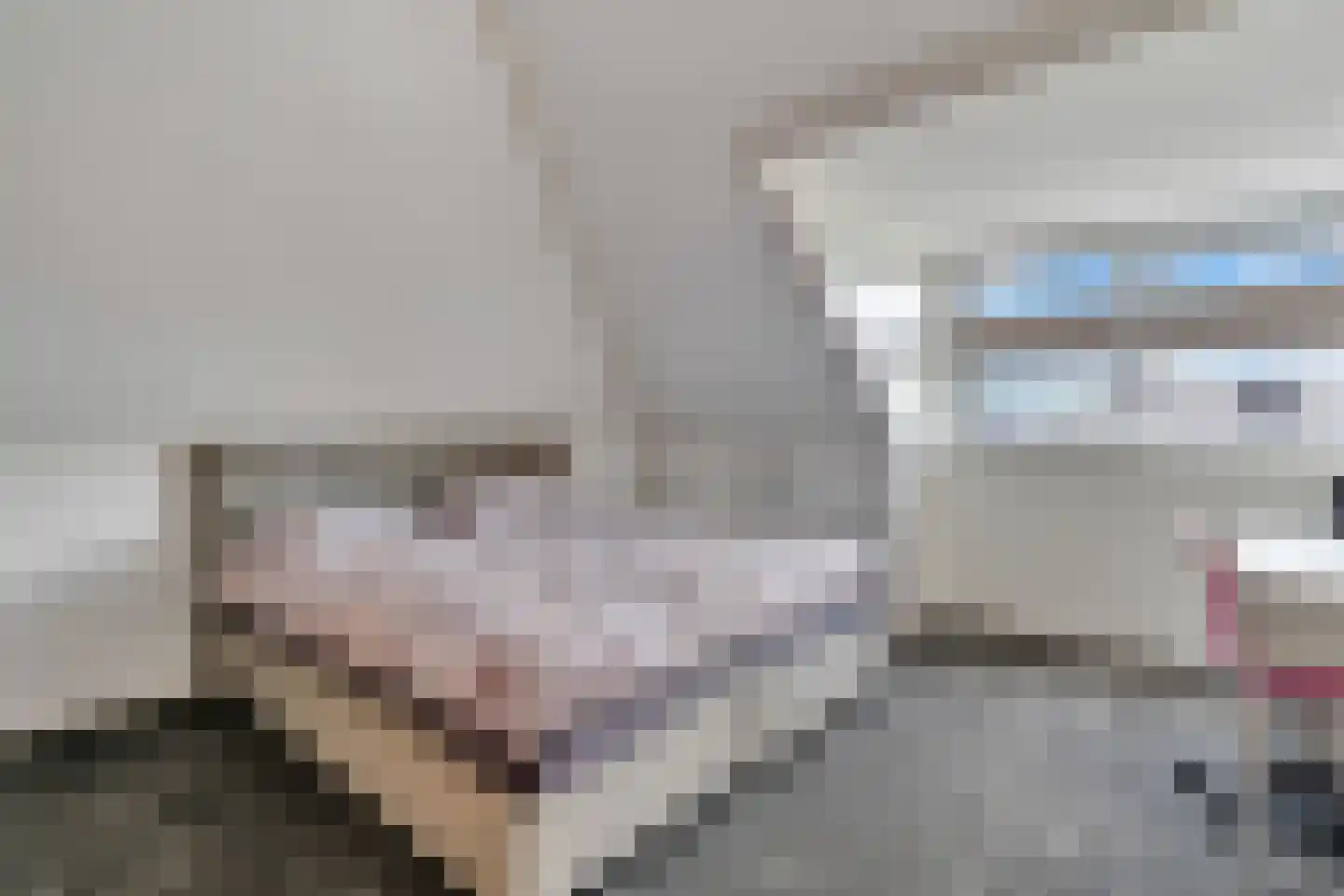 Slagerswerf 2 Dedemsvaart thumbnail 29