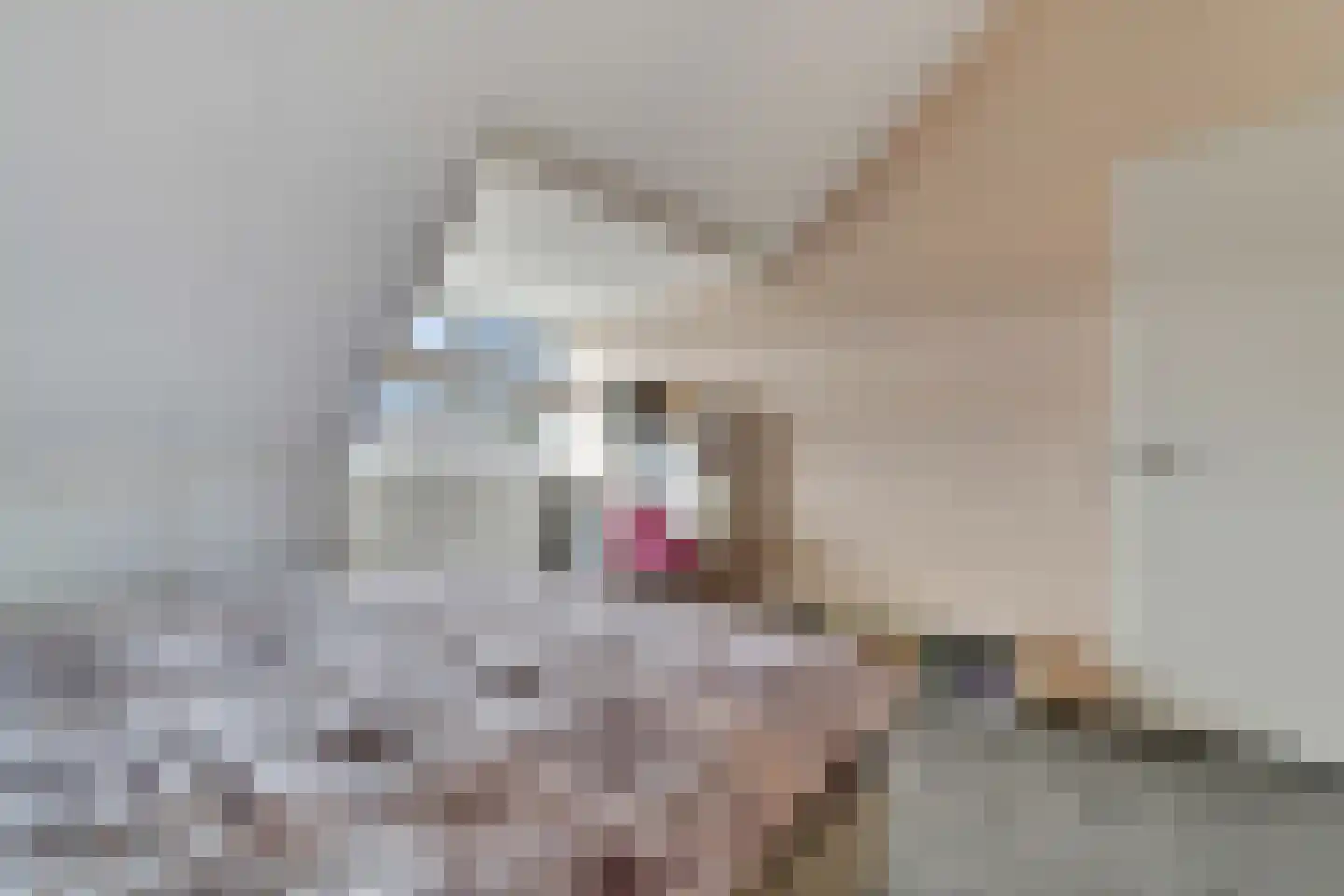 Slagerswerf 2 Dedemsvaart thumbnail 30