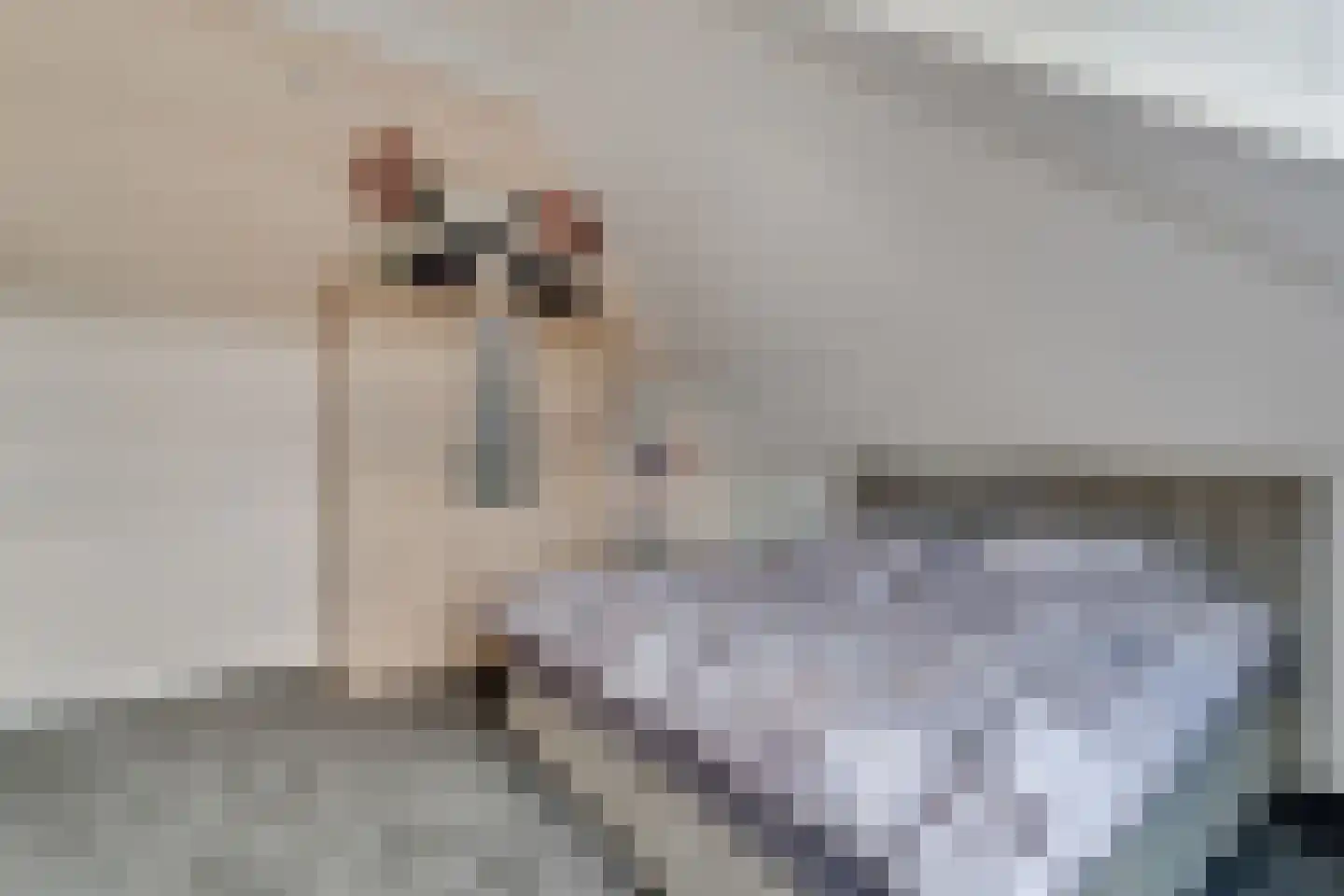 Slagerswerf 2 Dedemsvaart thumbnail 31