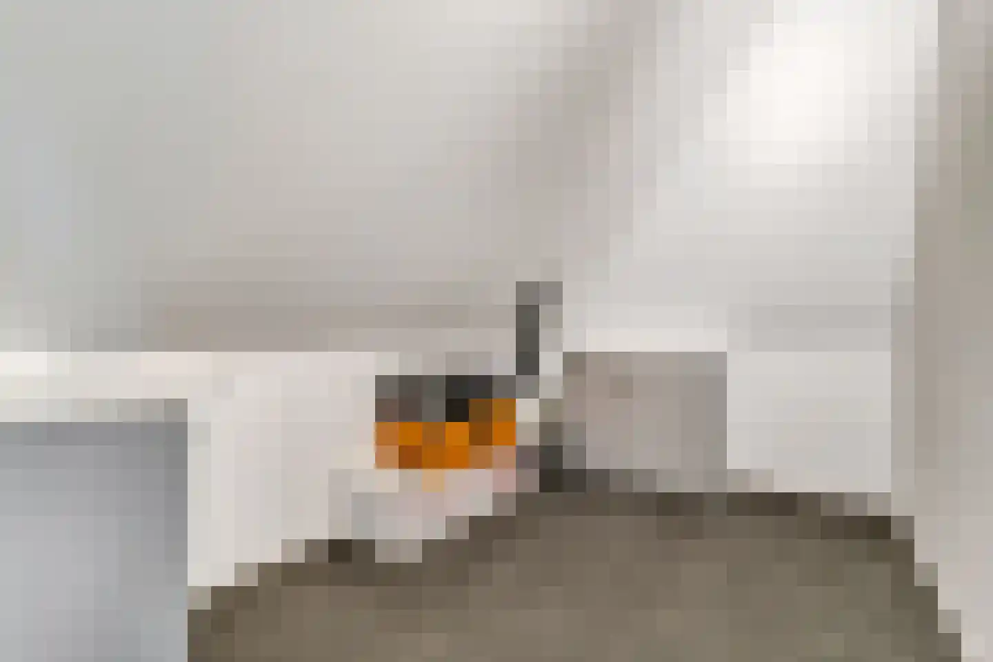 Slagerswerf 2 Dedemsvaart thumbnail 33
