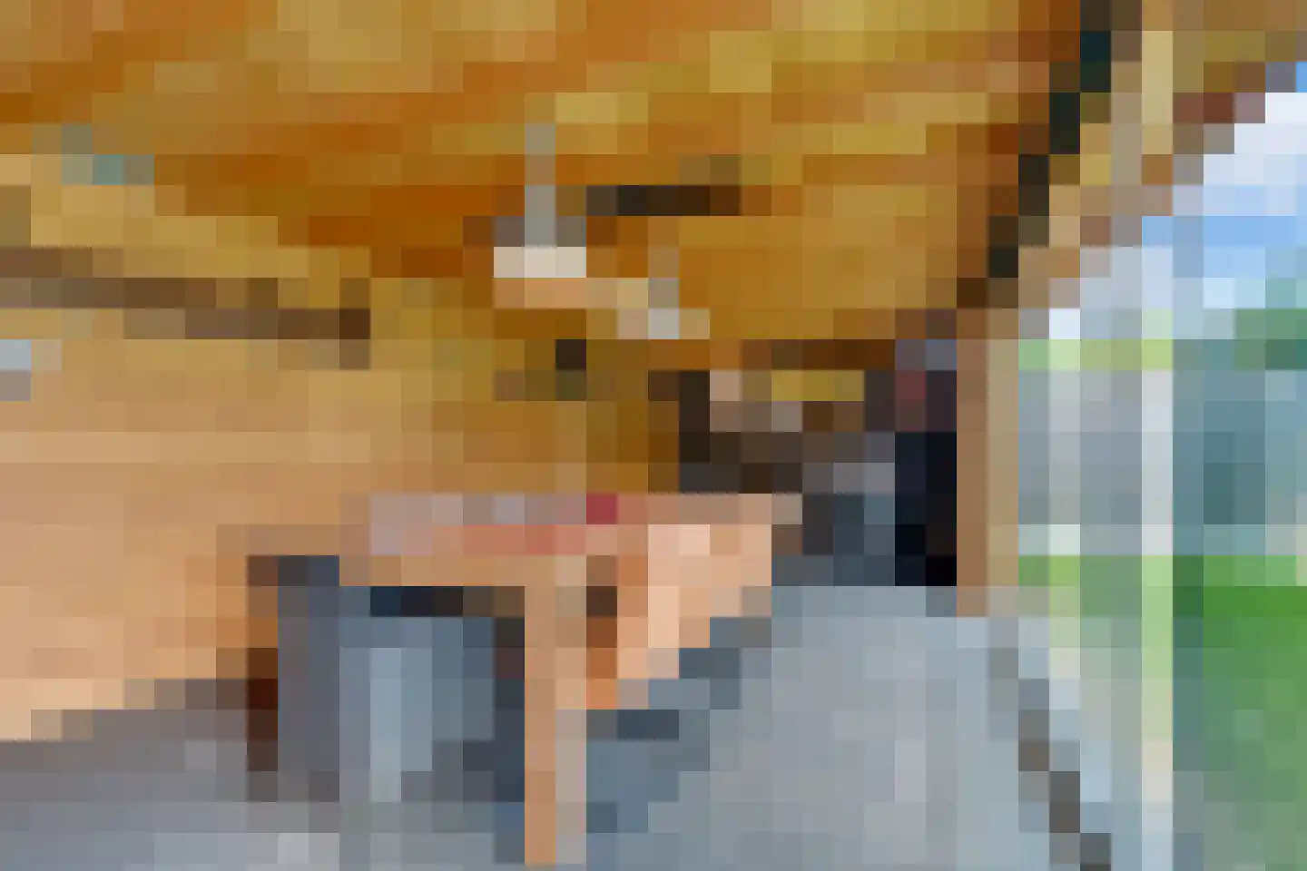 Slagerswerf 2 Dedemsvaart thumbnail 42
