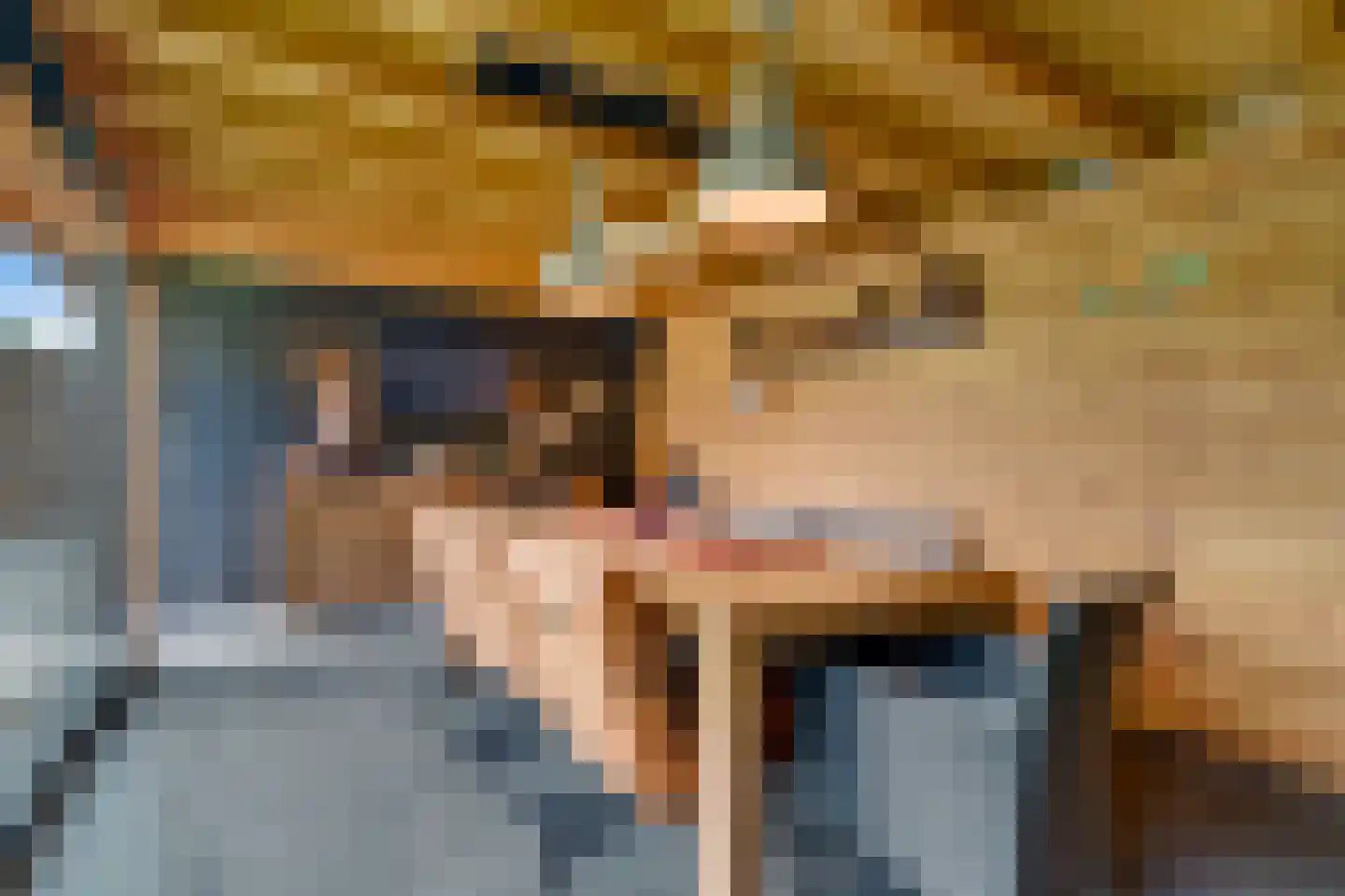 Slagerswerf 2 Dedemsvaart thumbnail 45