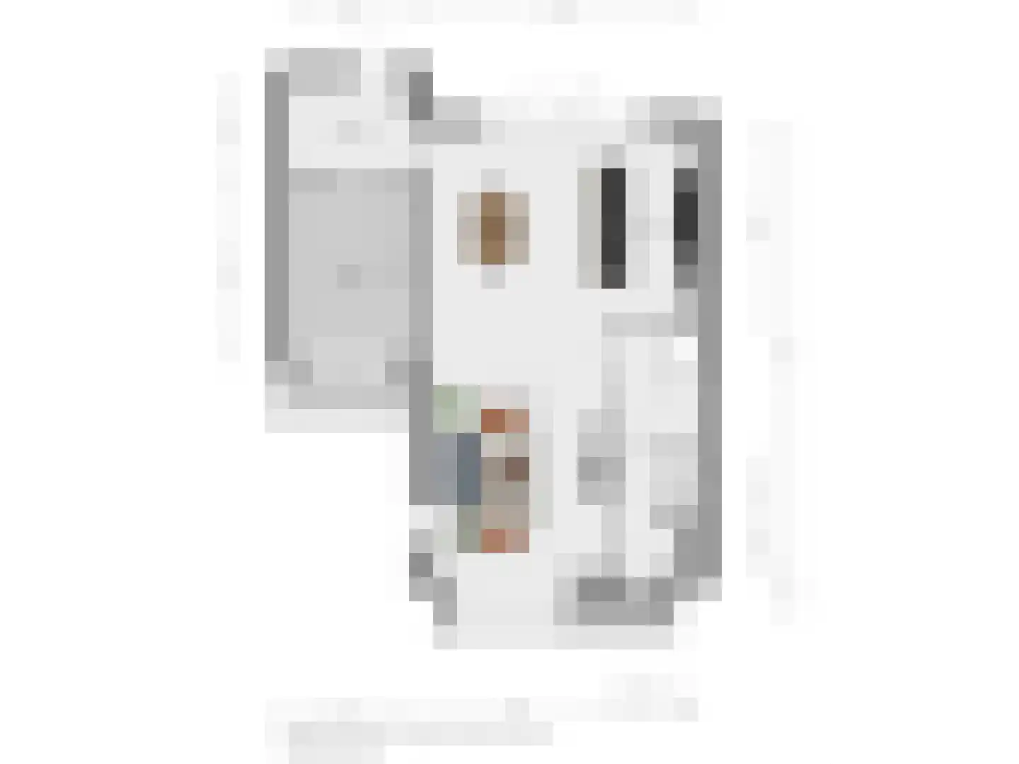 Slagerswerf 2 Dedemsvaart thumbnail 48