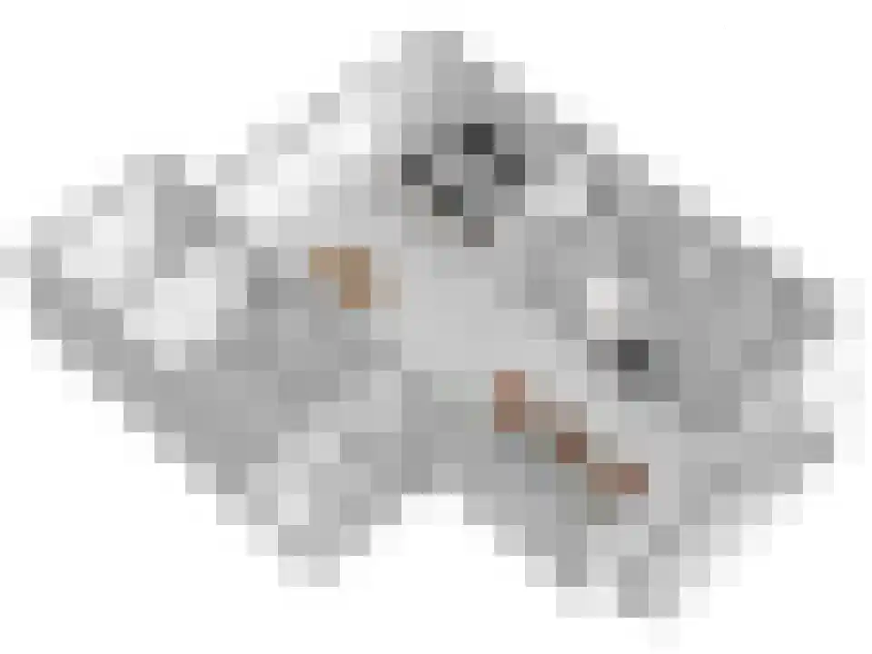 Slagerswerf 2 Dedemsvaart thumbnail 49