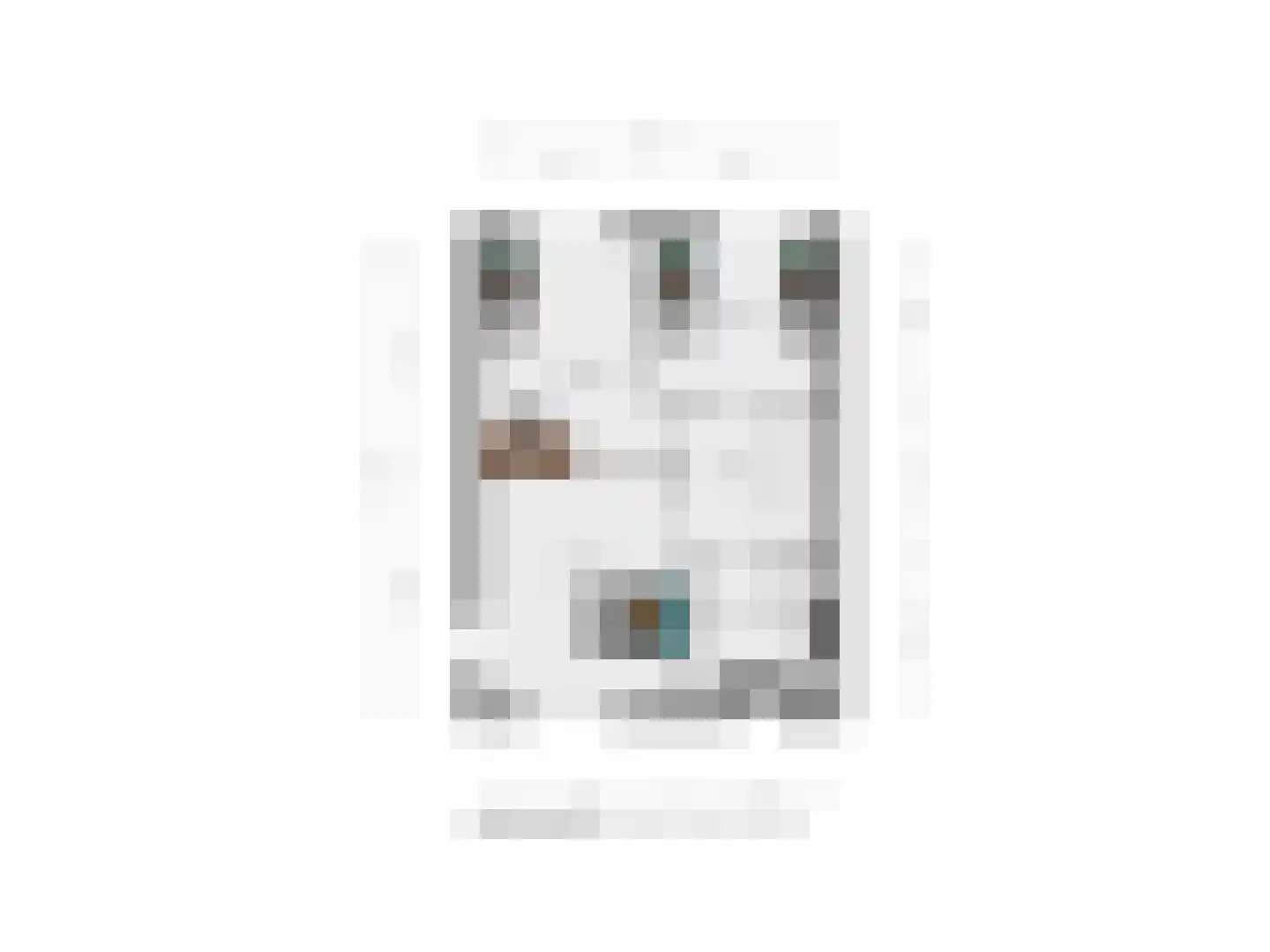Slagerswerf 2 Dedemsvaart thumbnail 50