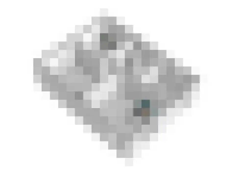 Slagerswerf 2 Dedemsvaart thumbnail 51