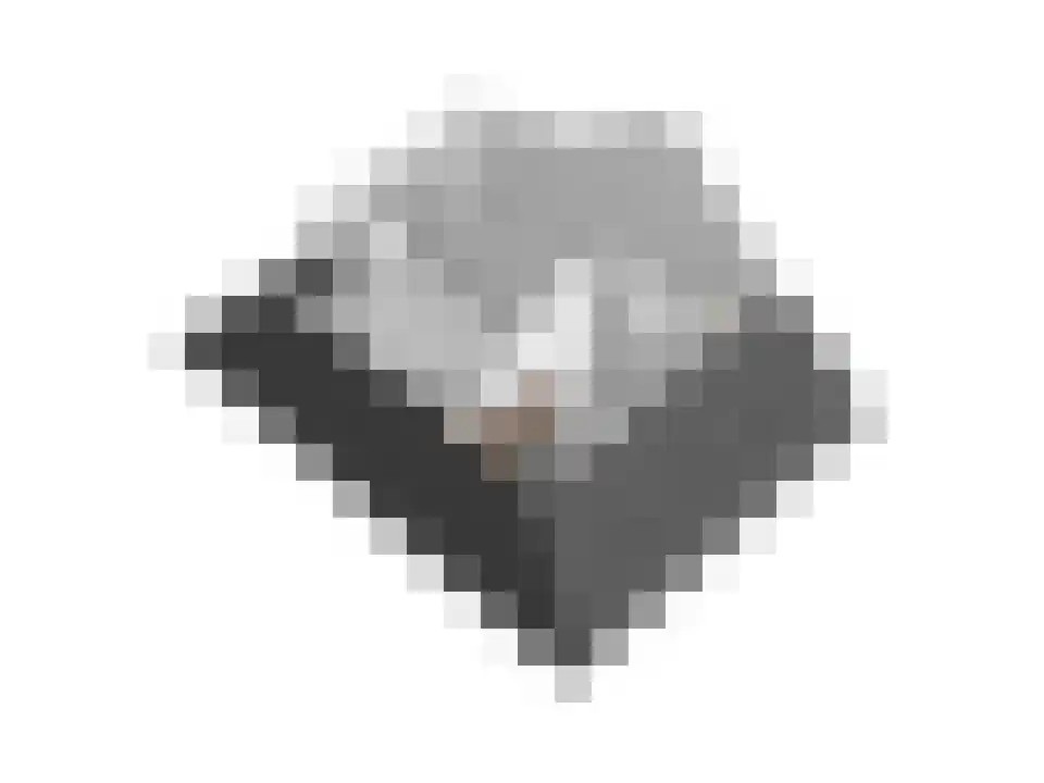 Slagerswerf 2 Dedemsvaart thumbnail 53